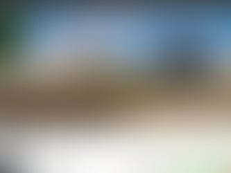 Achetez dans le neuf sur Vannes