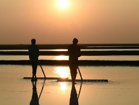 Inde: le changement climatique asphyxie des milliers de paludiers traditionnels