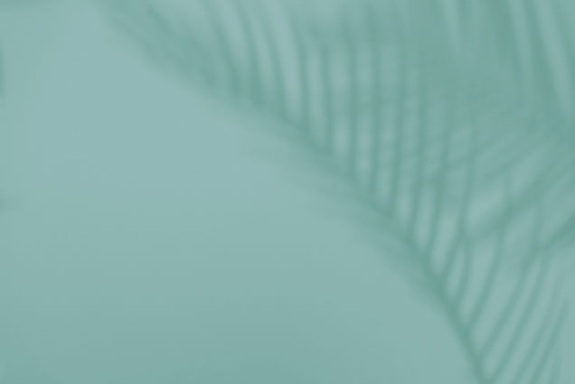 Plant Shadow  _edited_edited.jpg