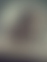 "Flogging a dead horse"どういう意味?#8