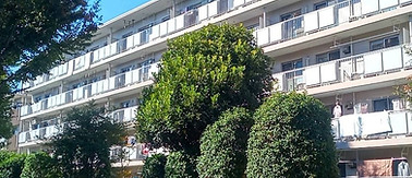LINE_ALBUM_笠原绿色公园405_231125_1.jpg