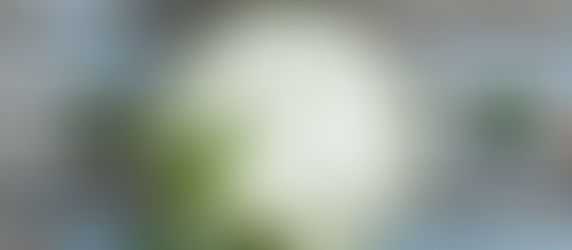 This is your fifth post