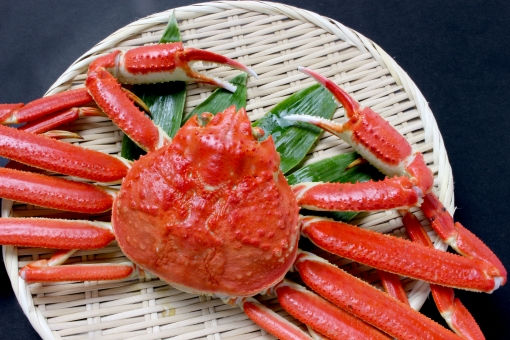 魚津の朝市 臨時開催!!