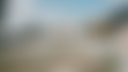 C'EST ANN 唯愛庭園美式婚禮紀錄|彰化美式婚禮攝影|唯愛庭園婚攝|彰化婚攝|戶外婚禮|First Look|女攝影師