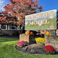 Canyon Sign Fall with Sunlight copy.jpg