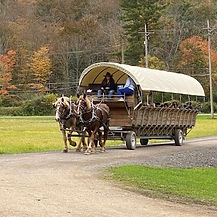 wagon rides.jpg