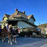 Sherwood Horses.jpg