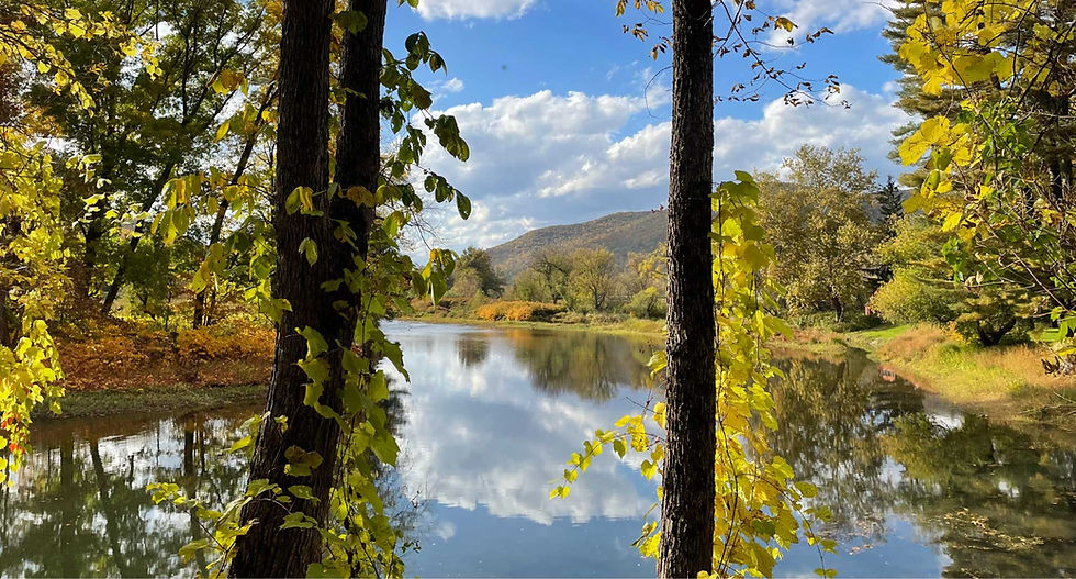 Lake-reflection.jpg