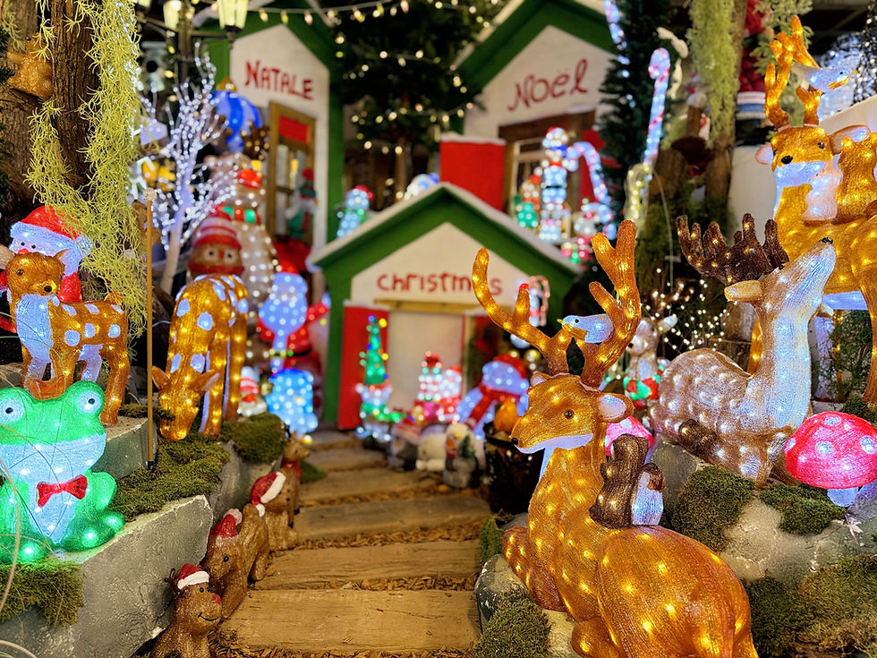 renne, rana, luci di natale, casetta di natale, fungo