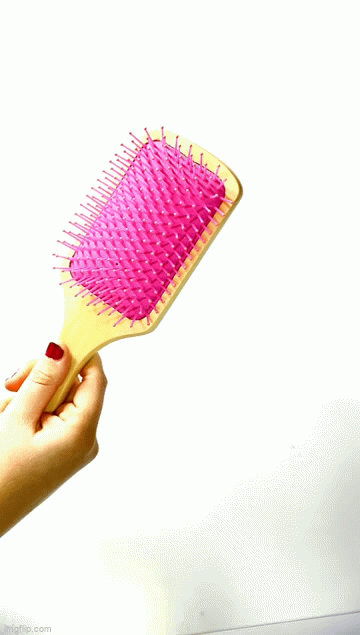 Sactut-2.gif