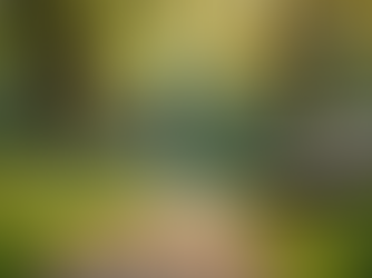 Coaching de Salud Personalizado para Cuidadores