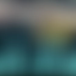 布団の中から出たくない