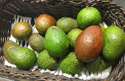 fruit-1825418_1920