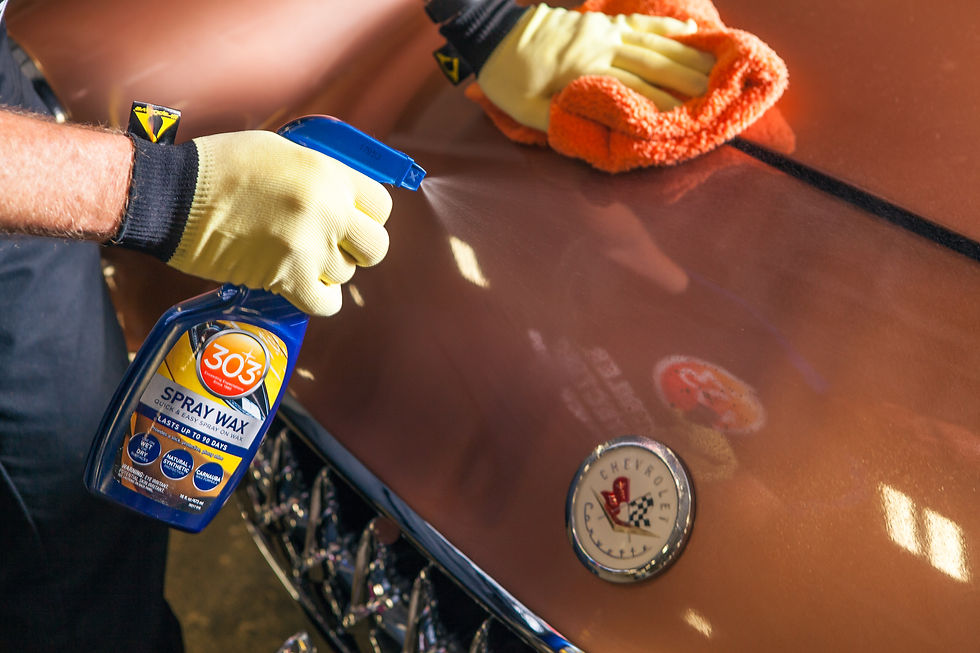 303_Mecum_SW-Spraying-Paint_1