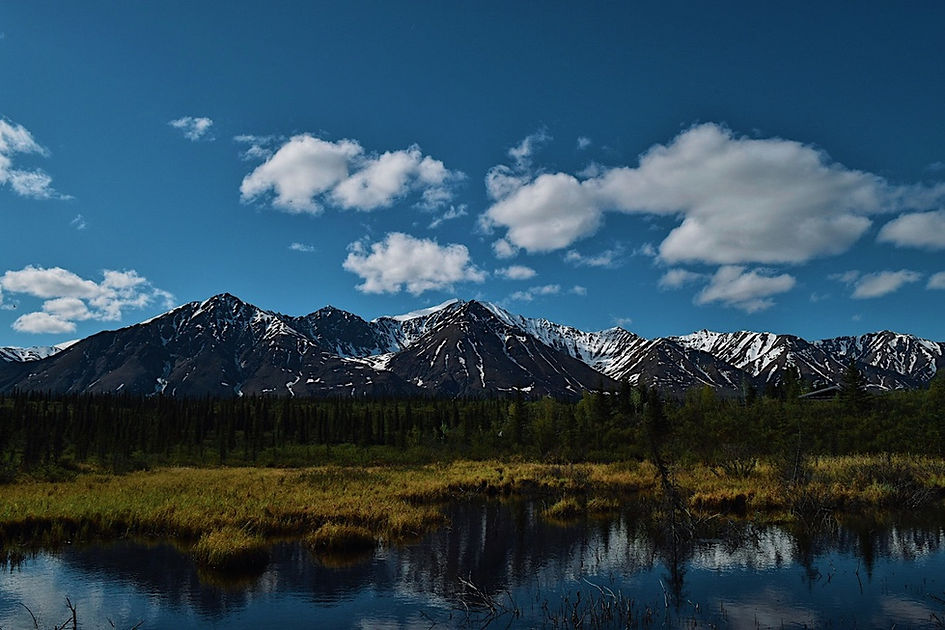 Mountain_Range_in_Denali_Natl_Park - Copy.jpg