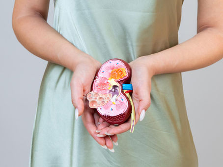 Insuficiencia Renal: Causas, Síntomas y Tratamiento