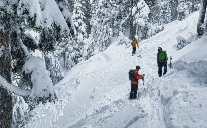 Canada tree skiing