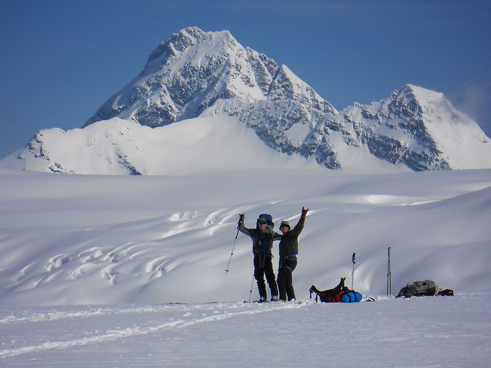 High angle view of snow-covered mountain peaks in Revelstoke