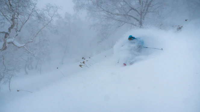 Japan Powder Skiing