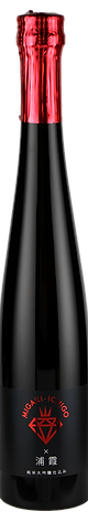 MIGAKI ICHIGO