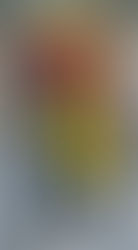 デイサービスひだまり『ピエロの日記』