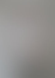 デイサービスひだまり『ピエロの日記』