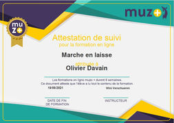 marche en laisse.jpg