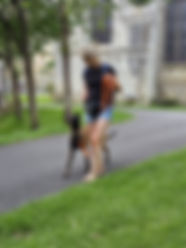 éducation canine indre et loire marche en laisse.jpg