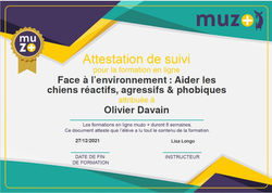 face à l'environnement.jpg