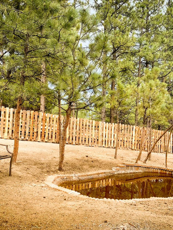 outdoor area for kids to play animals livestock learning family fun day farm events elbert county kiowa colorado