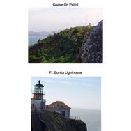 _Pt. Bonita Lighthouse Collection_ (Christian (age 14)  3.jpg