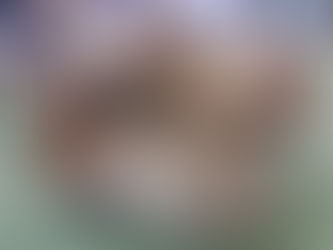 【野々市】地域の防災と学びの一日