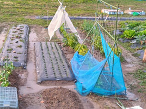 【野々市】12月議会の一般質問は12月5日と6日