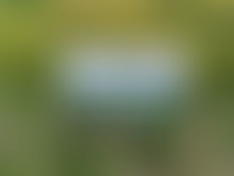 【羽咋市】子ども時代に住んでいました