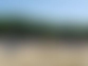 160人参加の下林おたのしみ運動会