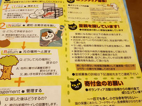 ネコの命を守る活動と珠洲で震度6強