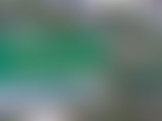 【野々市】地産地消、出来るだけ農薬を使わない食材でつくられた給食