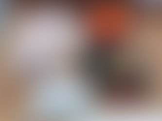 【野々市】視察への準備と、野々市の味を添えて─~最中 勧進帳と議会活動の一日