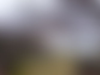 【野々市】2万歩近く歩きました。