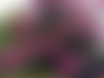 【野々市】農地の視察・地域密着型サービス事業者・中学校給食センター