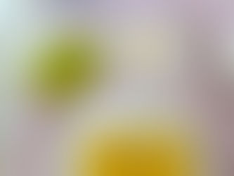 【野々市】離乳食の勉強会