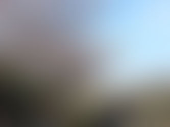 【野々市】新しい一歩にエールを込めて 〜ご入学・ご進級おめでとうございます〜