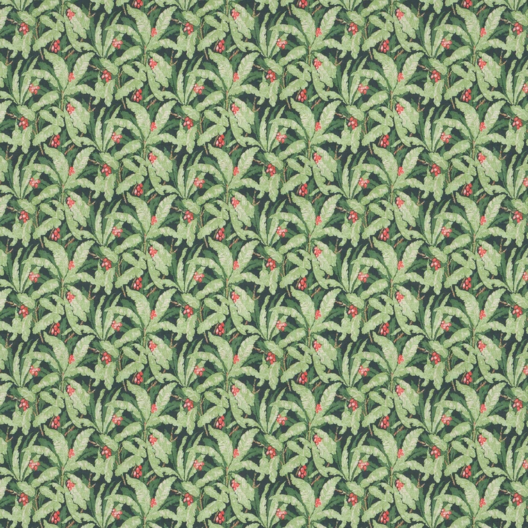 Thumbnail: Tropicana