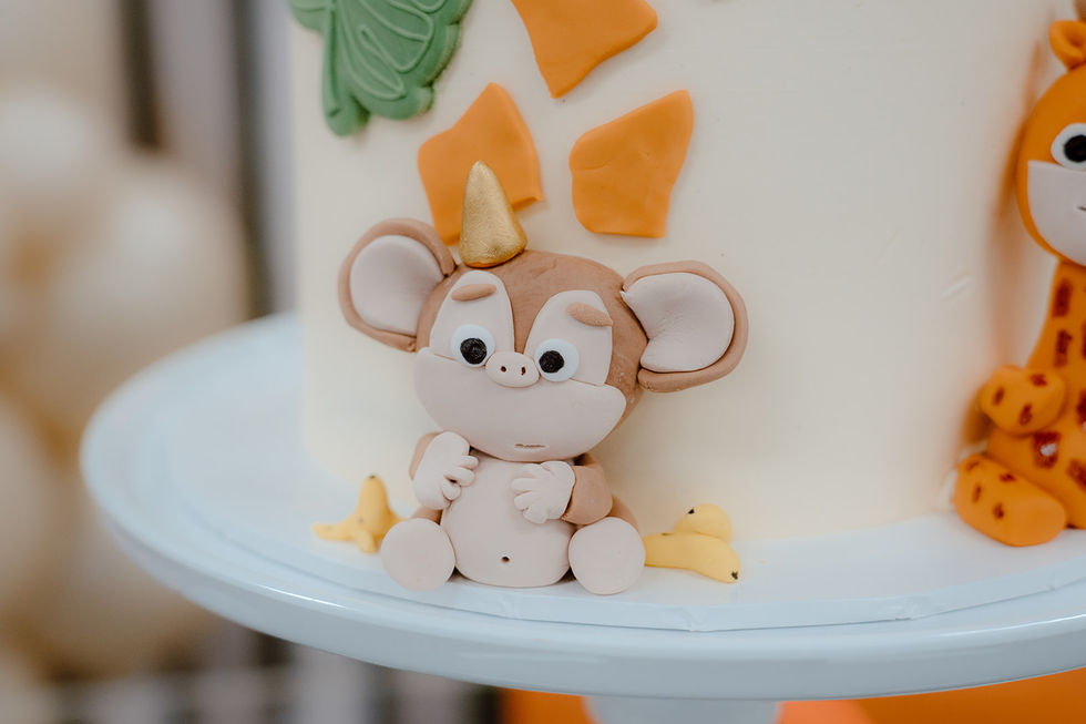 Seth_s 1st birthday -004.jpg