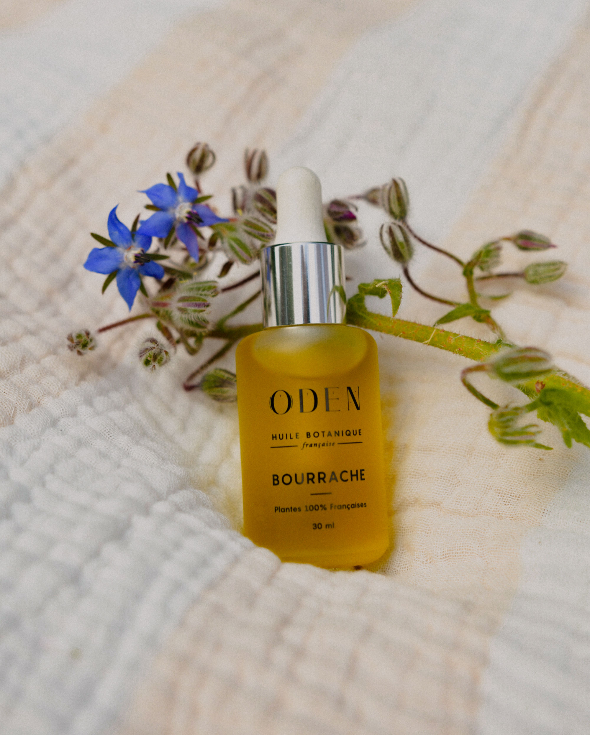 Huile de bourrache