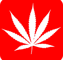 How to grow marijuana, How to grow weed