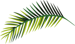 Tropical Leaf  