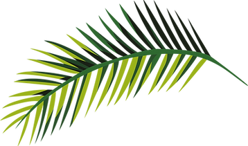 Tropical Leaf  