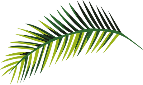 Tropical Leaf