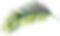 Tropical Leaf